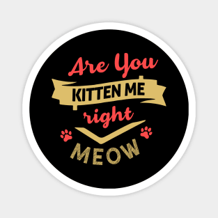 Are You Kitten Me Right Meow Magnet